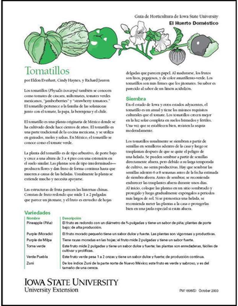 Tomatillos image number 1
