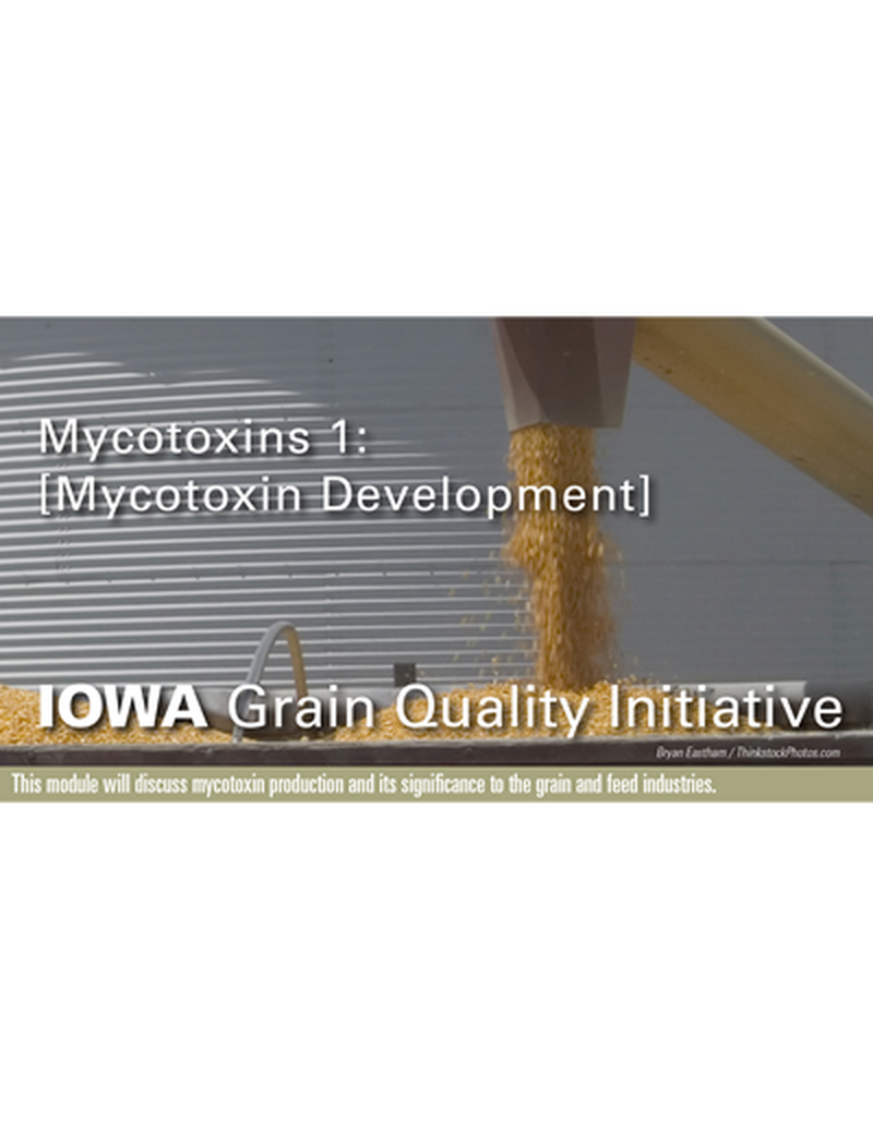 Mycotoxins 1: Mycotoxin Development Module image number 0