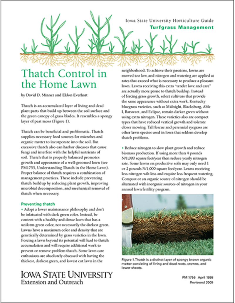 Thatch Control in the Home Lawn image number 0