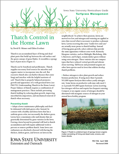 Thatch Control in the Home Lawn