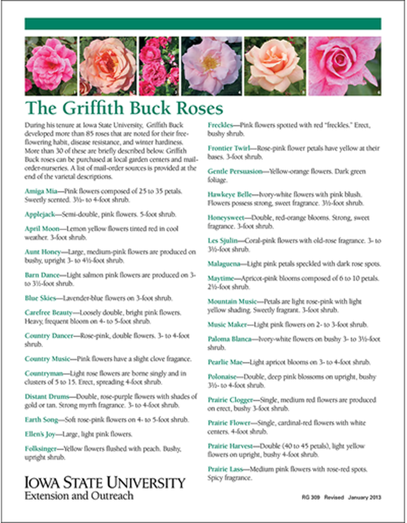 The Griffith Buck Roses image number 0