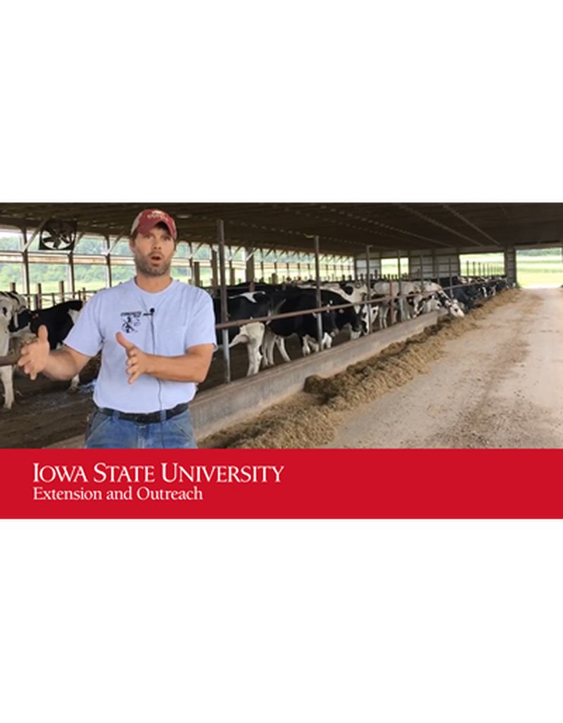 Beginning Dairy Farmer Video Series - Gibbs Dairy - Part 1 image number 0