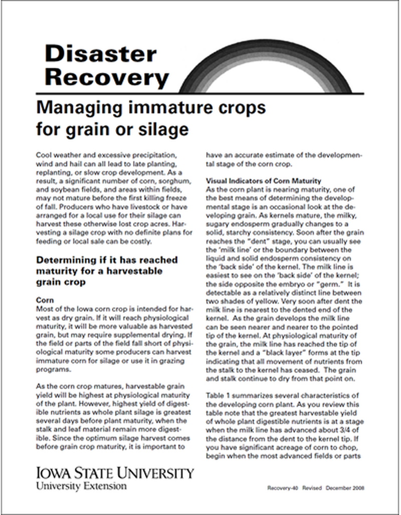 Managing Immature Crops for Grain or Silage -- Disaster Recovery image number 0