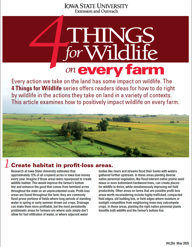 4 Things for Wildlife on Every Farm image number 0