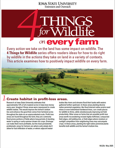 4 Things for Wildlife on Every Farm