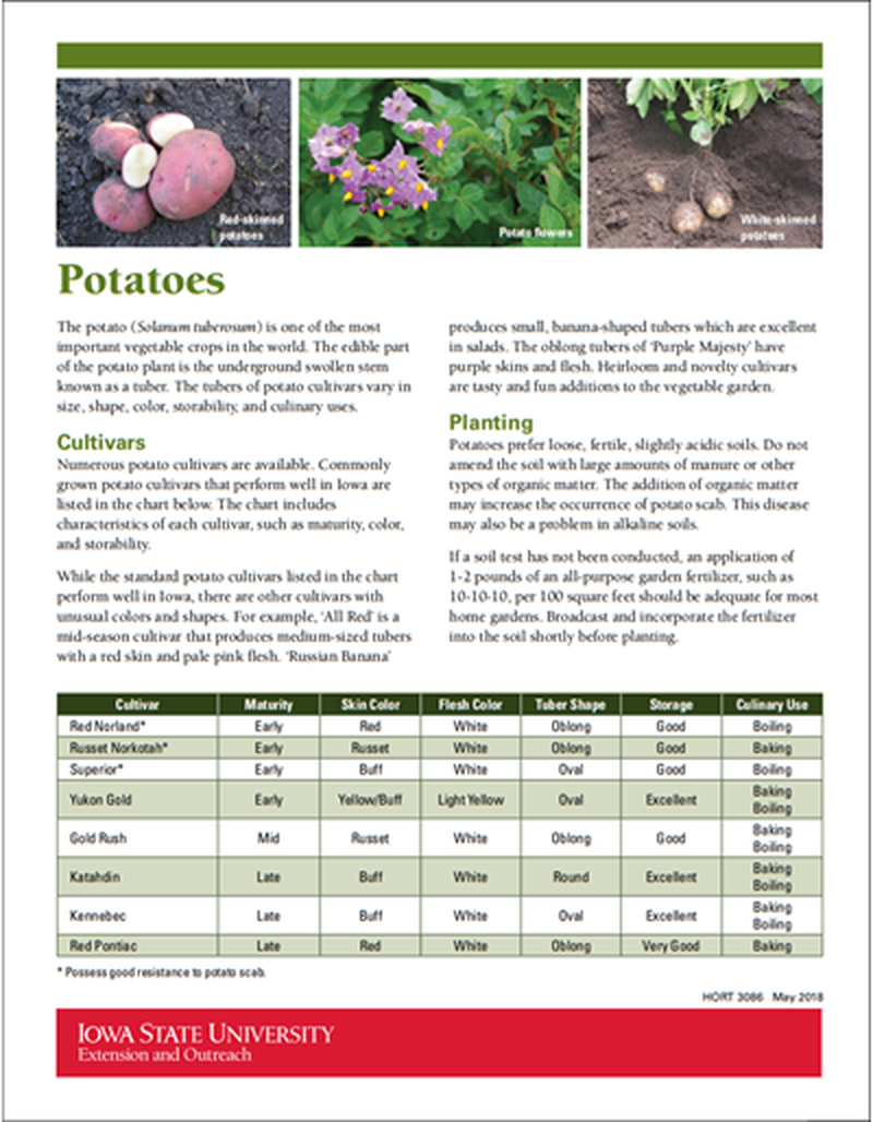 Potatoes image number 0