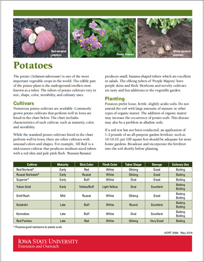 Potatoes