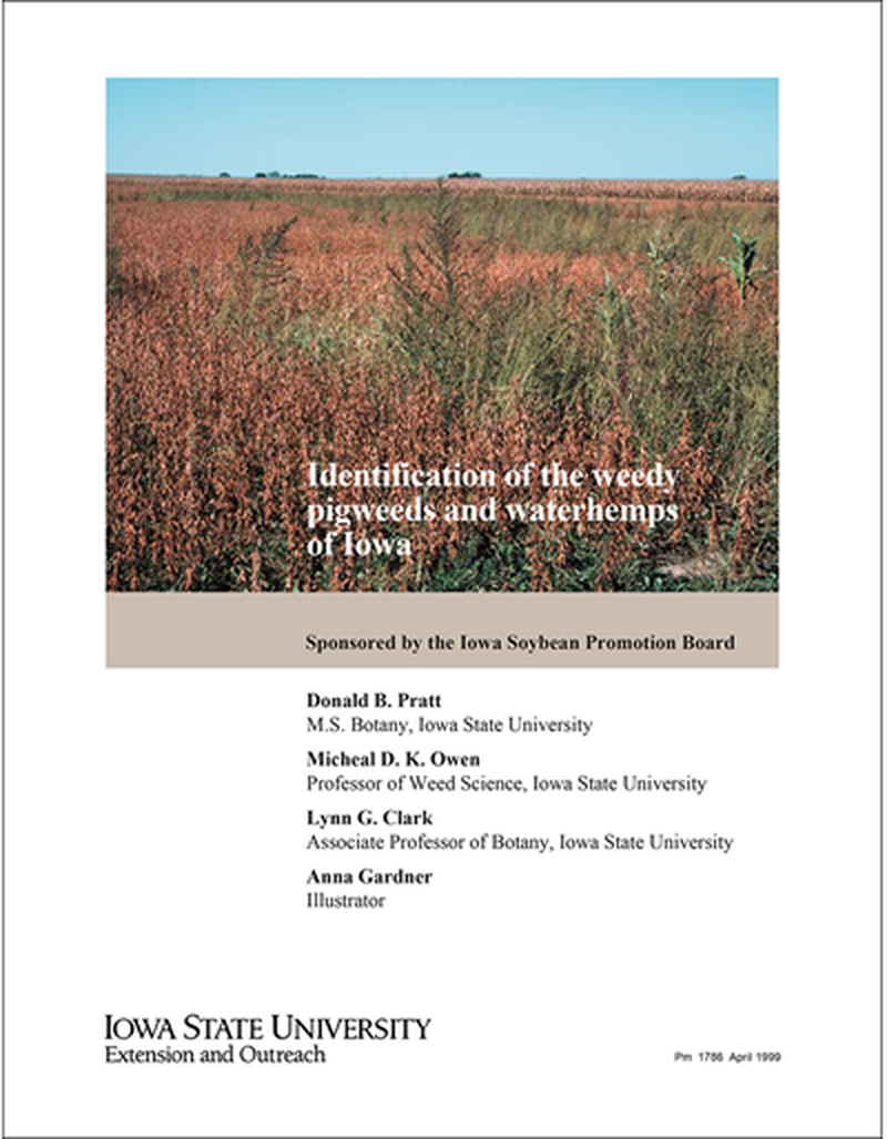 Identification of the Weedy Pigweeds and Waterhemps of Iowa image number 0