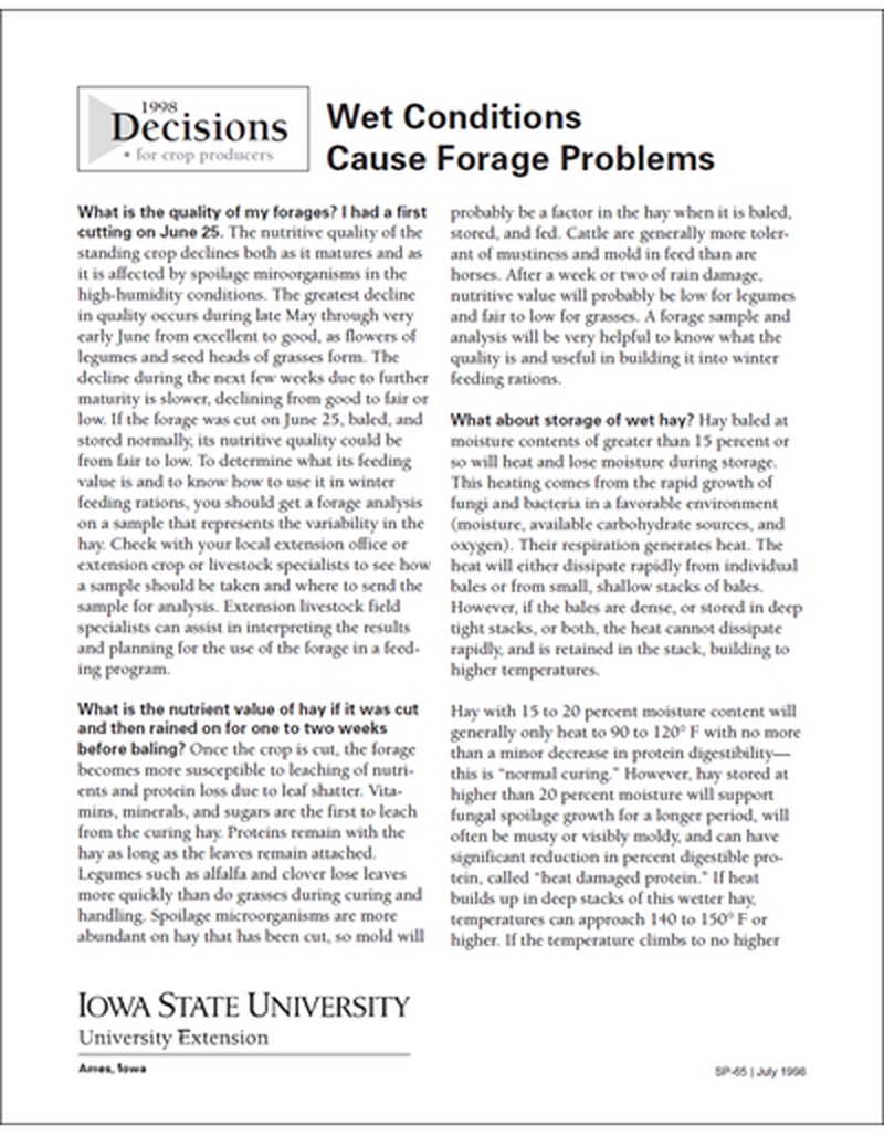 Wet Conditions Cause Forage Problems - Decisions image number 0