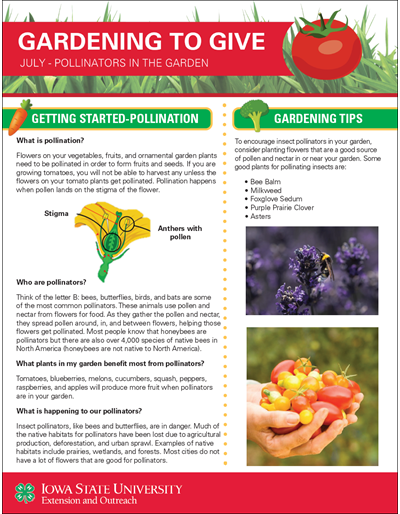 July Pollinators -- Gardening to Give
