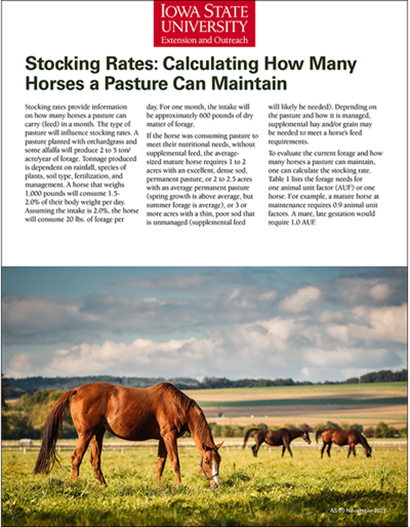 Stocking Rates: Calculating How Many Horses a Pasture Can Maintain image number 0