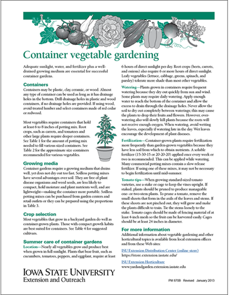 Container vegetable gardening image number 0
