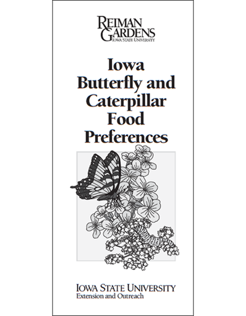 Iowa Butterfly and Caterpillar Food Preferences -- Reiman Gardens image number 0