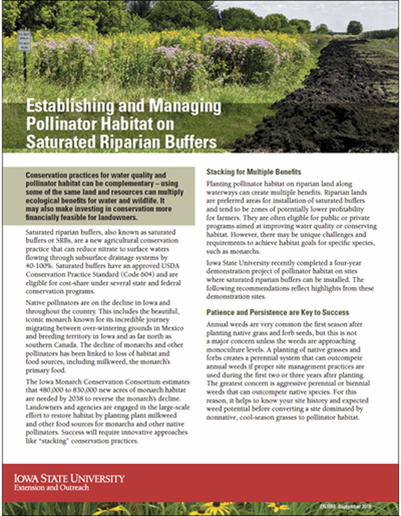 Establishing and Managing Pollinator Habitat on Saturated Riparian Buffers image number 0