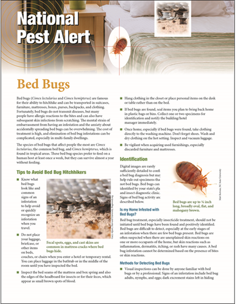 National Pest Alert - Bed Bugs (Unit=50) image number 0