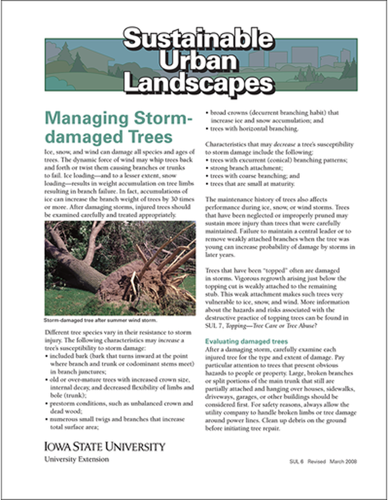 Managing Storm-Damaged Trees -- Sustainable Urban Landscapes image number 0