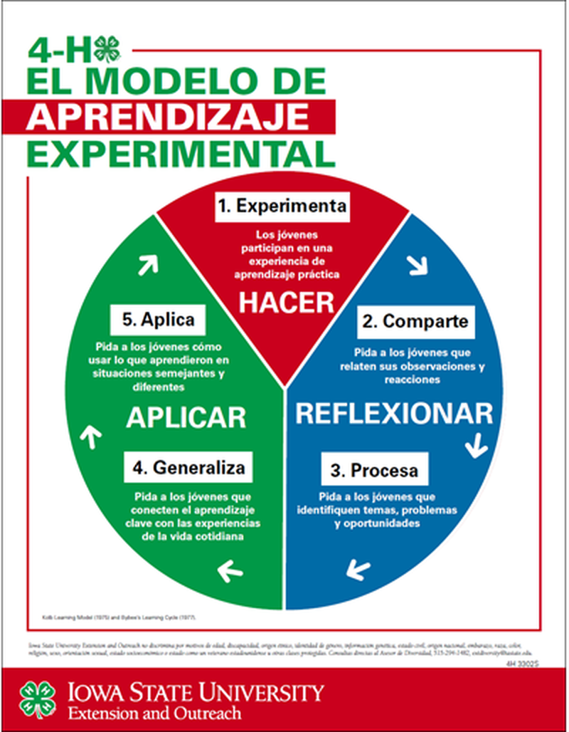 4-H Experiential Learning Model image number 1