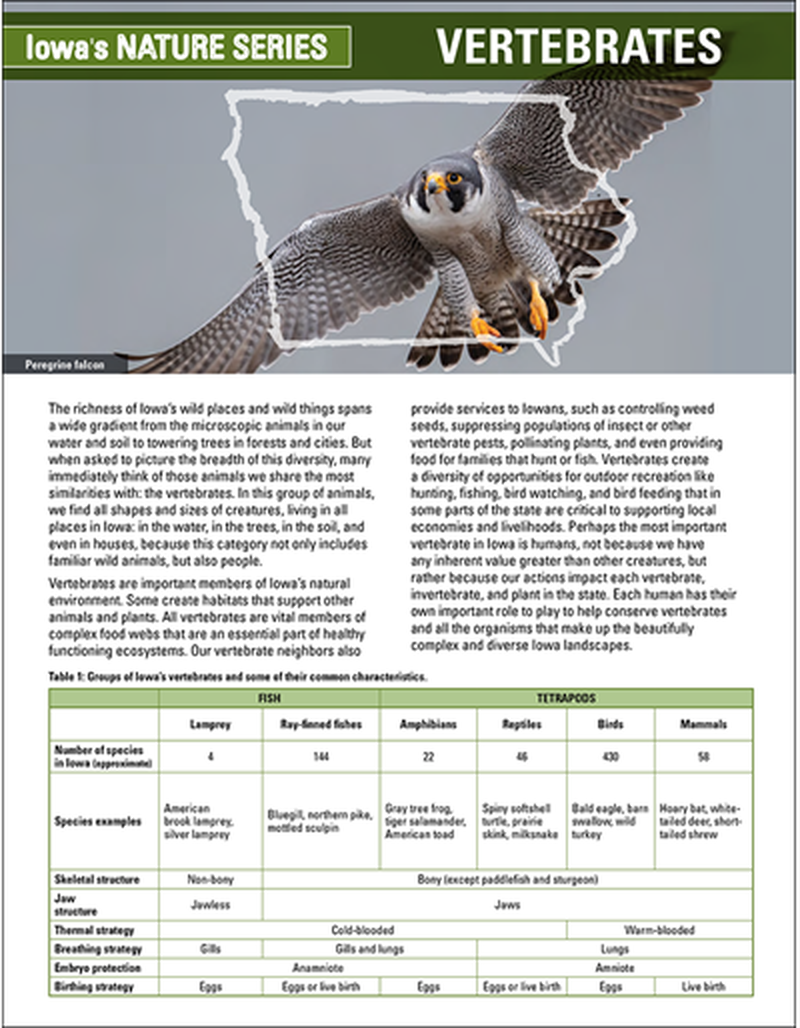 Vertebrates - Iowa's Nature Series image number 0