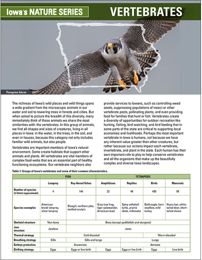 Vertebrates - Iowa's Nature Series