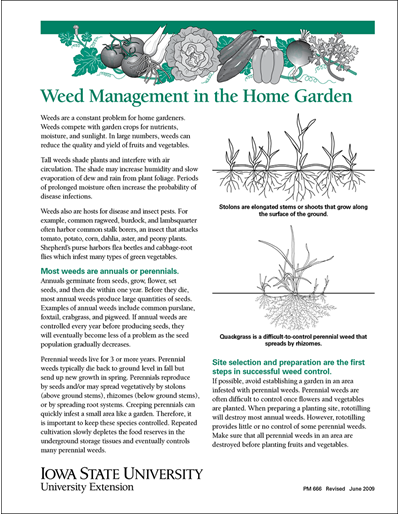Weed Management in the Home Garden