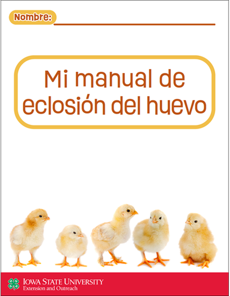 My Egg Hatching Workbook image number 1