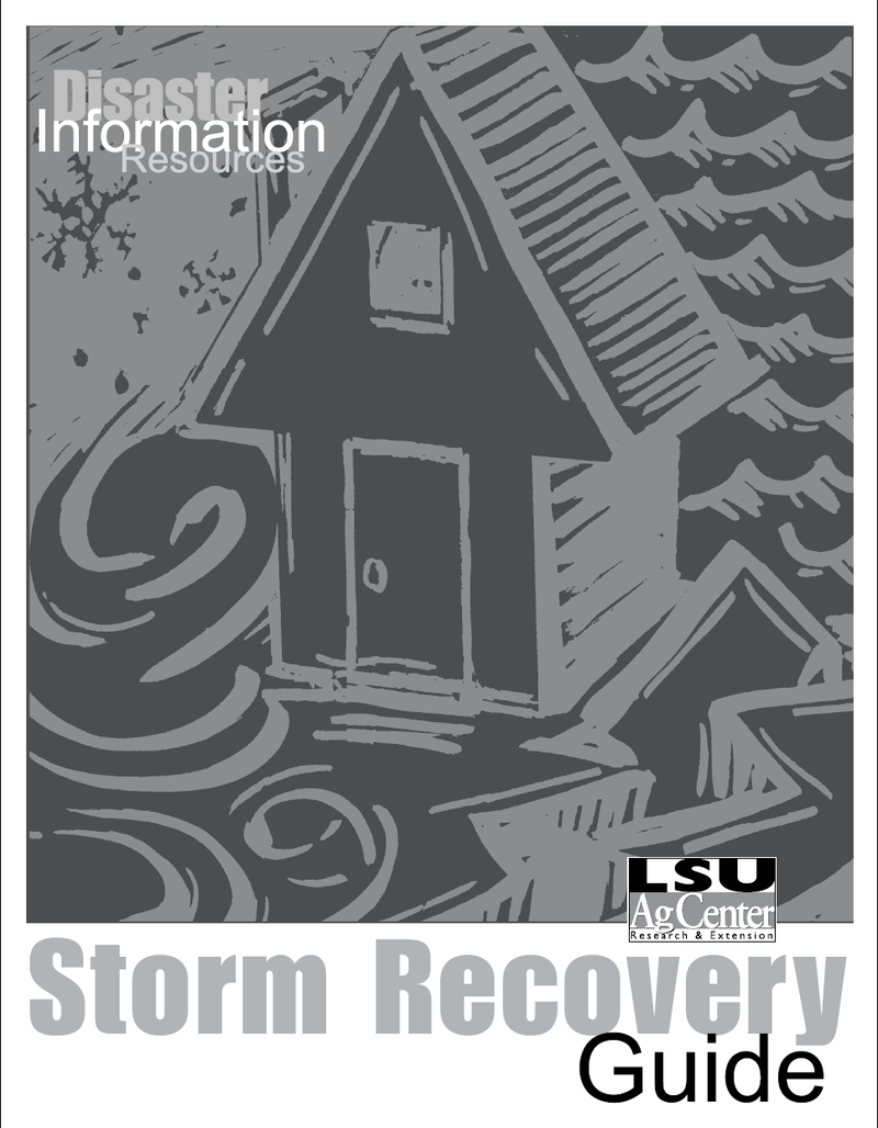 Storm Recovery Guide image number 0
