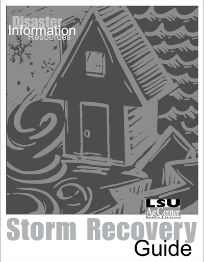 Storm Recovery Guide