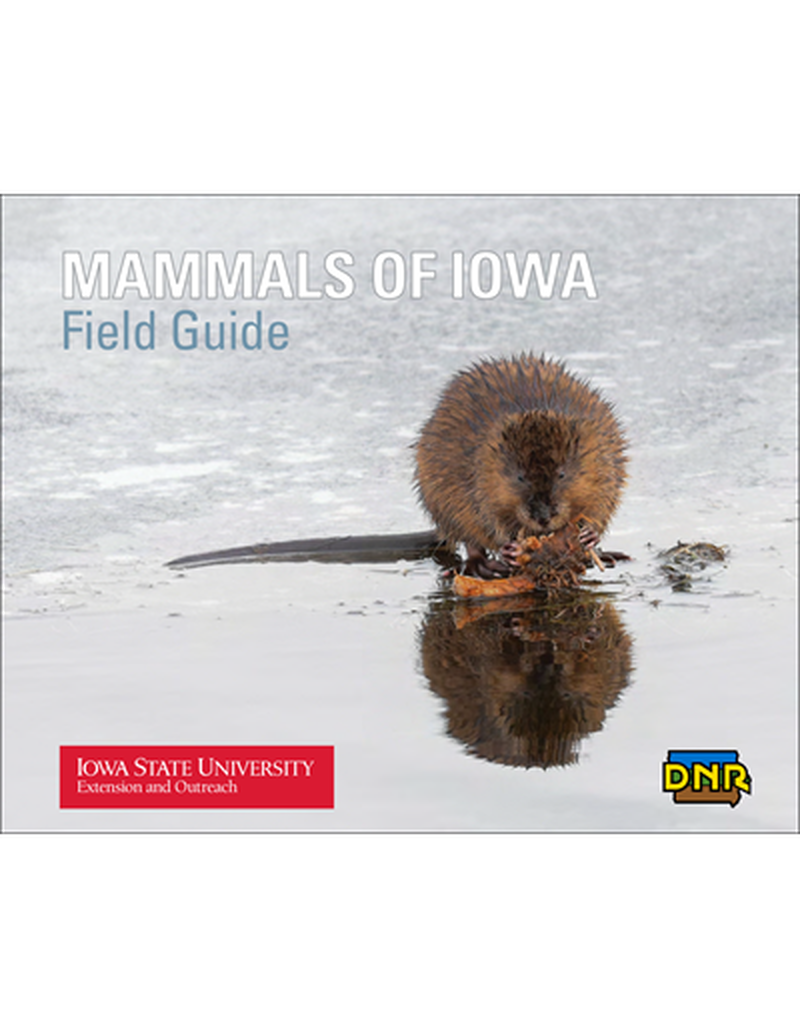 Mammals of Iowa Field Guide image number 0