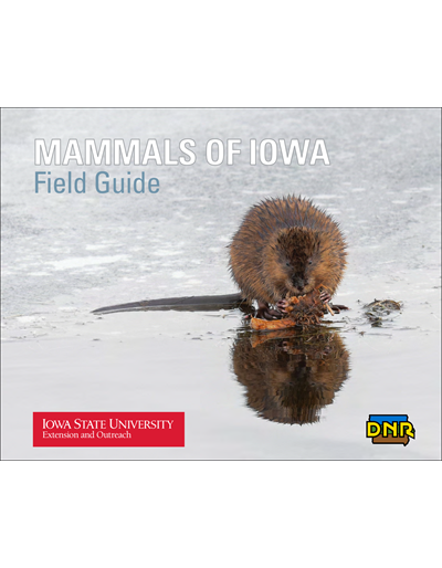 Mammals of Iowa Field Guide