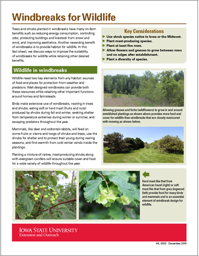Windbreaks for Wildlife