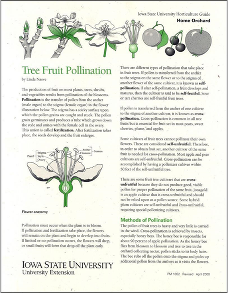 Tree Fruit Pollination image number 0