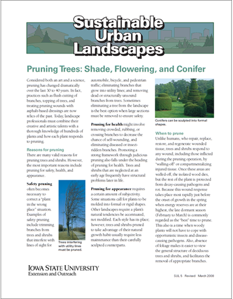 Pruning Trees: Shade, Flowering, and Conifer -- Sustainable Urban Landscapes image number 0