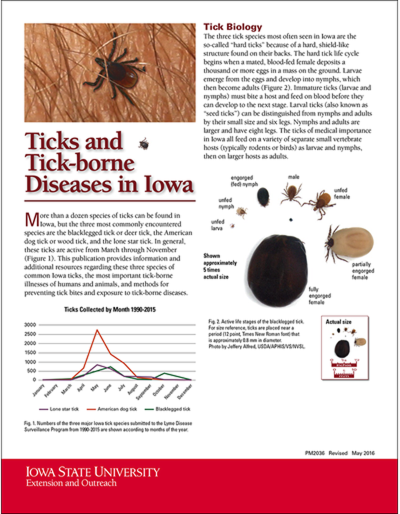 Ticks and Tick-borne Diseases in Iowa image number 0