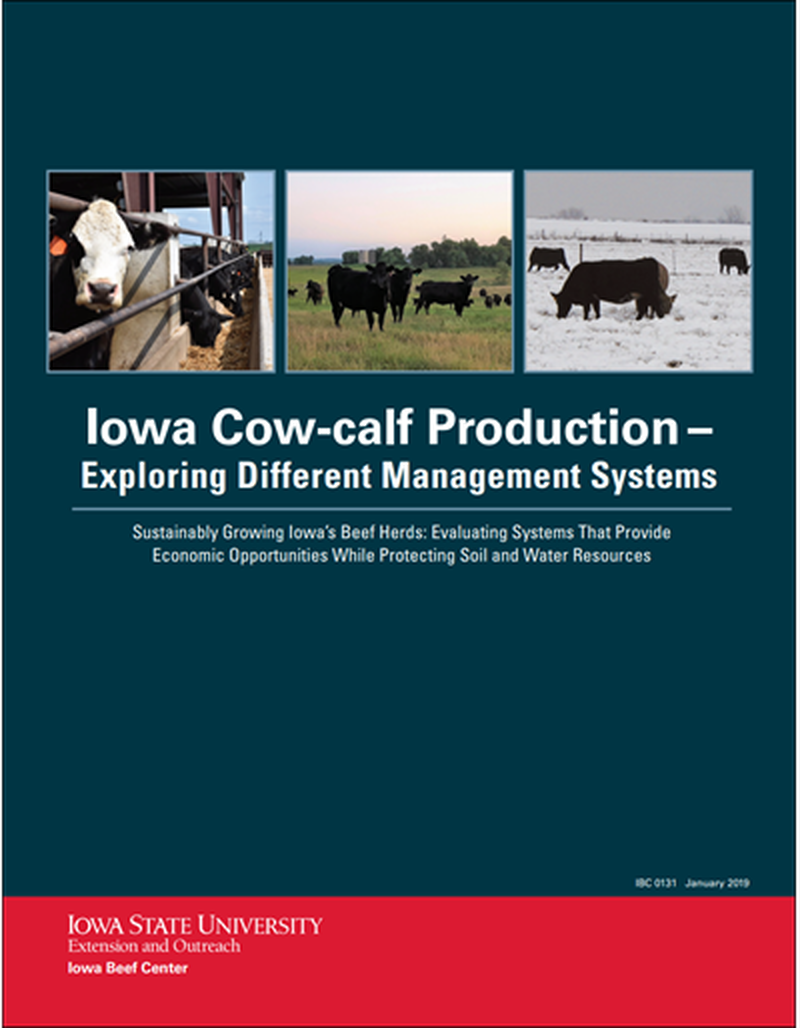 Iowa Cow-calf Production - Exploring Different Management Systems image number 0