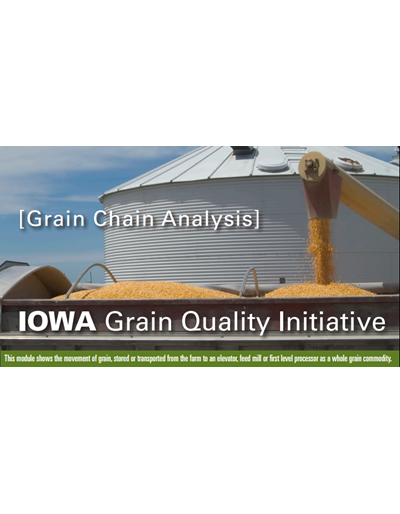 Grain Chain Analysis