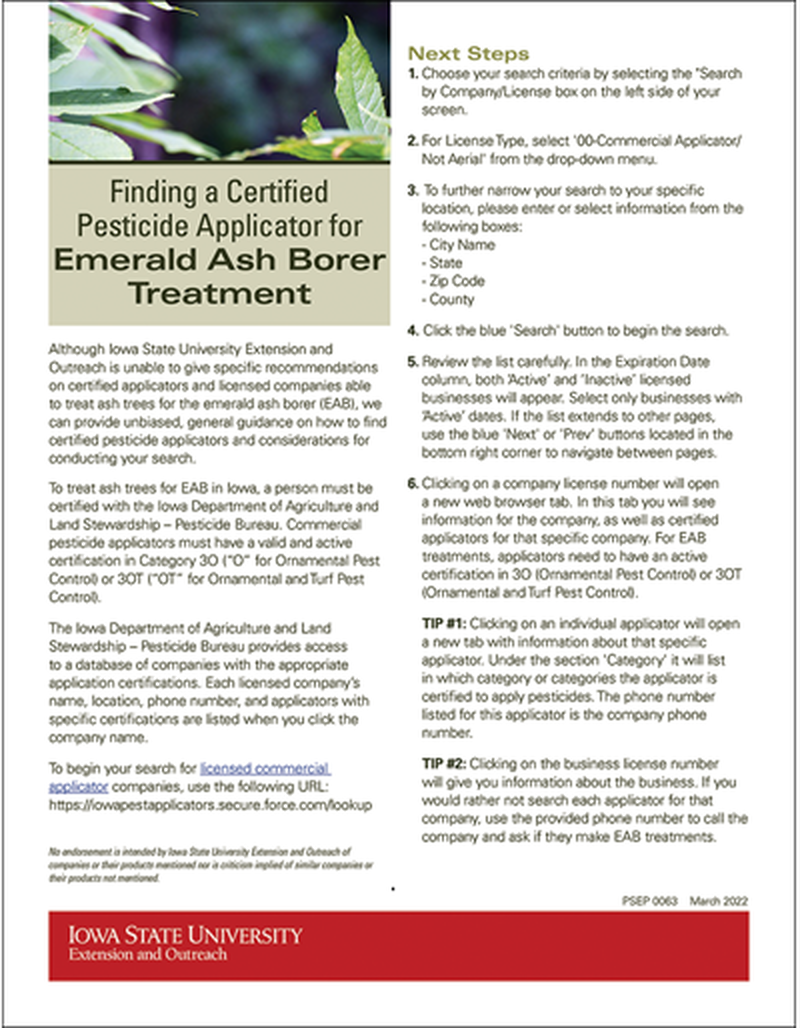 Finding a Certified Pesticide Applicator for Emerald Ash Borer Treatment image number 0
