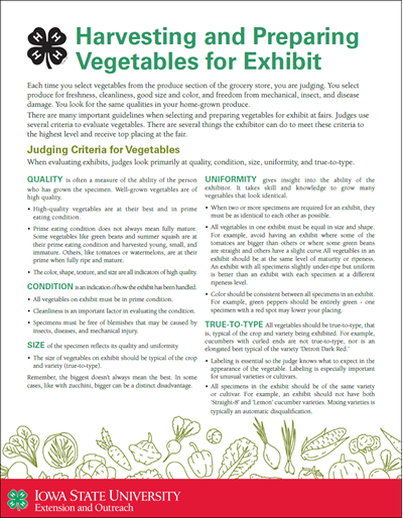 Harvesting and Preparing Vegetables for Exhibit image number 0