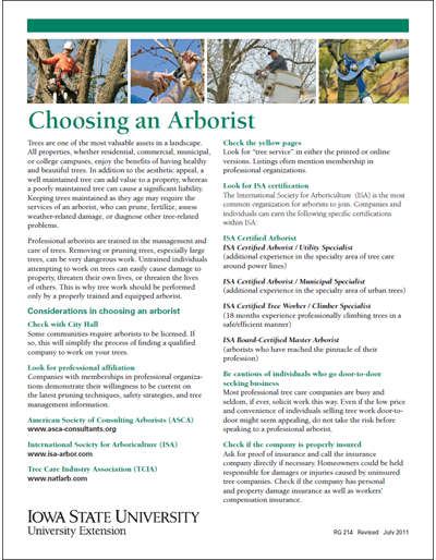 Choosing an Arborist