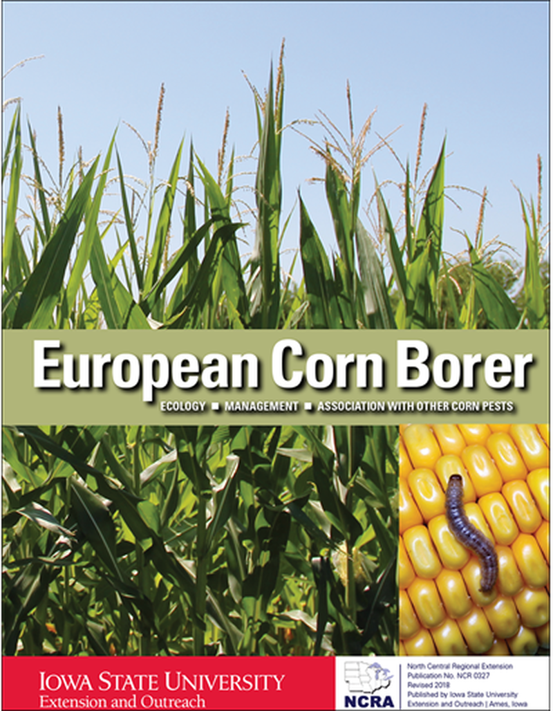 European Corn Borer - Ecology and Management and Association with other Corn Pests image number 0