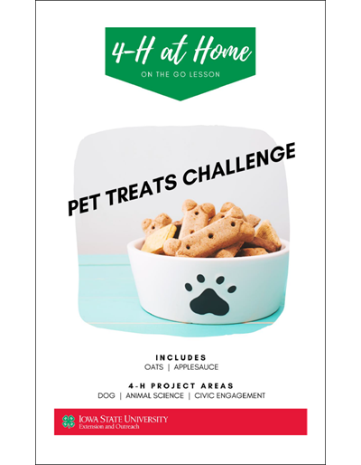 Pet Treats Challenge -- On the Go Lesson
