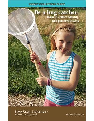 Be a bug catcher: learn to collect, identify, and preserve insects