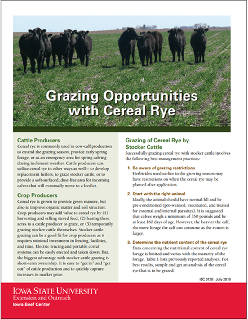 Grazing Opportunities with Cereal Rye image number 0
