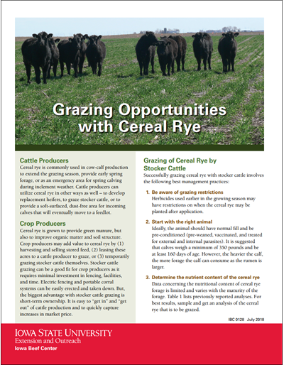 Grazing Opportunities with Cereal Rye