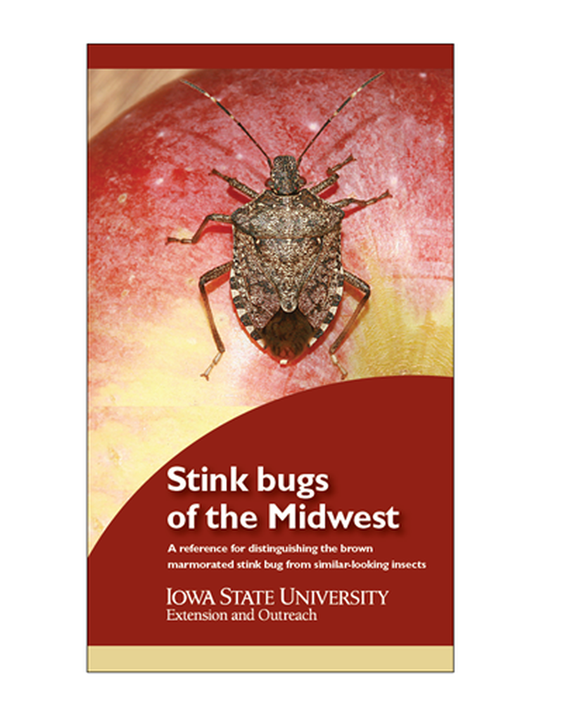 Stink Bugs of the Midwest (Unit = 100) image number 0