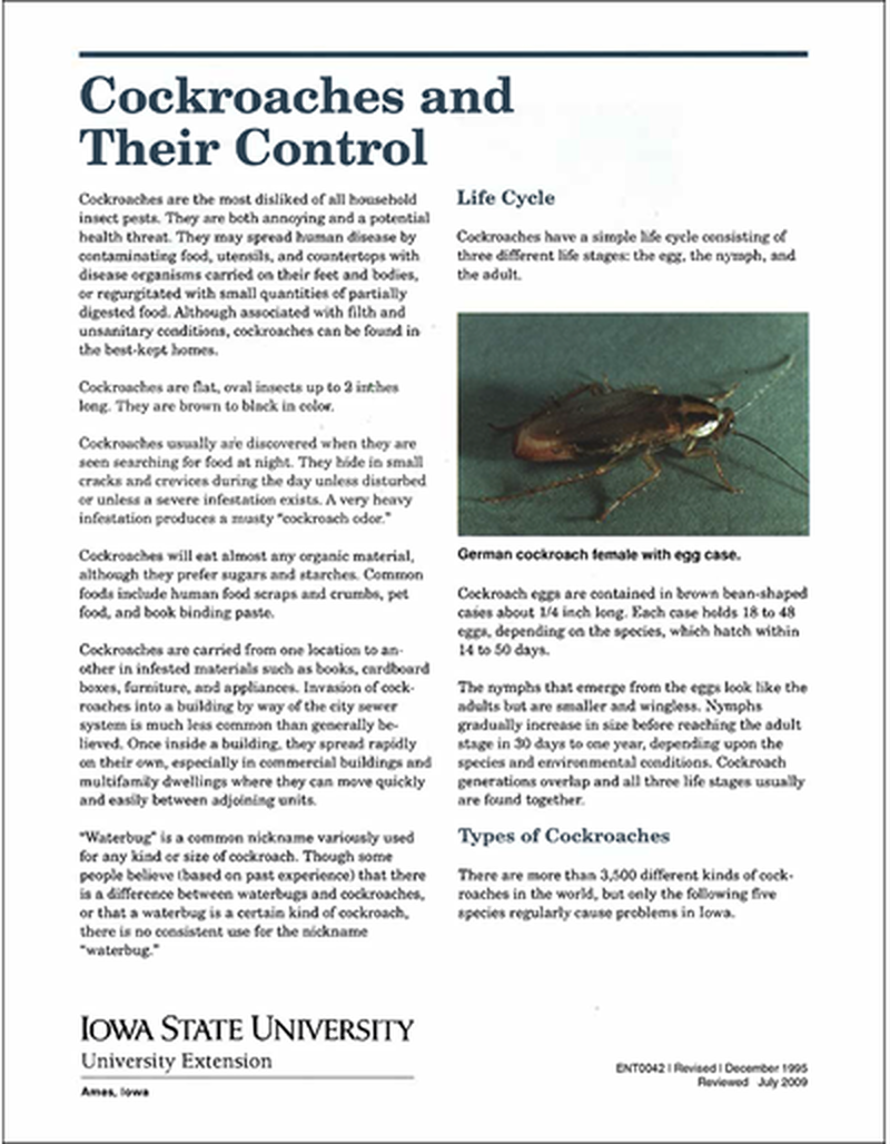 Cockroaches and Their Control image number 0