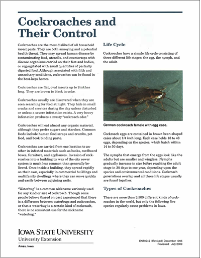 Cockroaches and Their Control