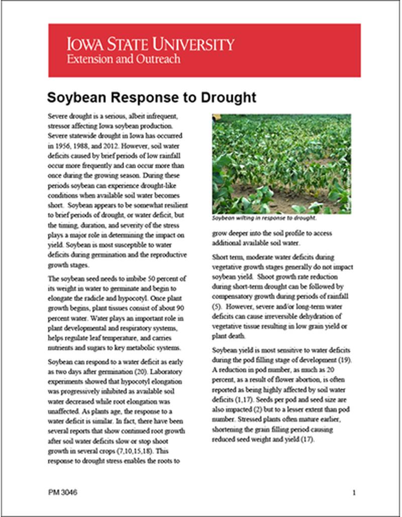 Soybean Response to Drought image number 0