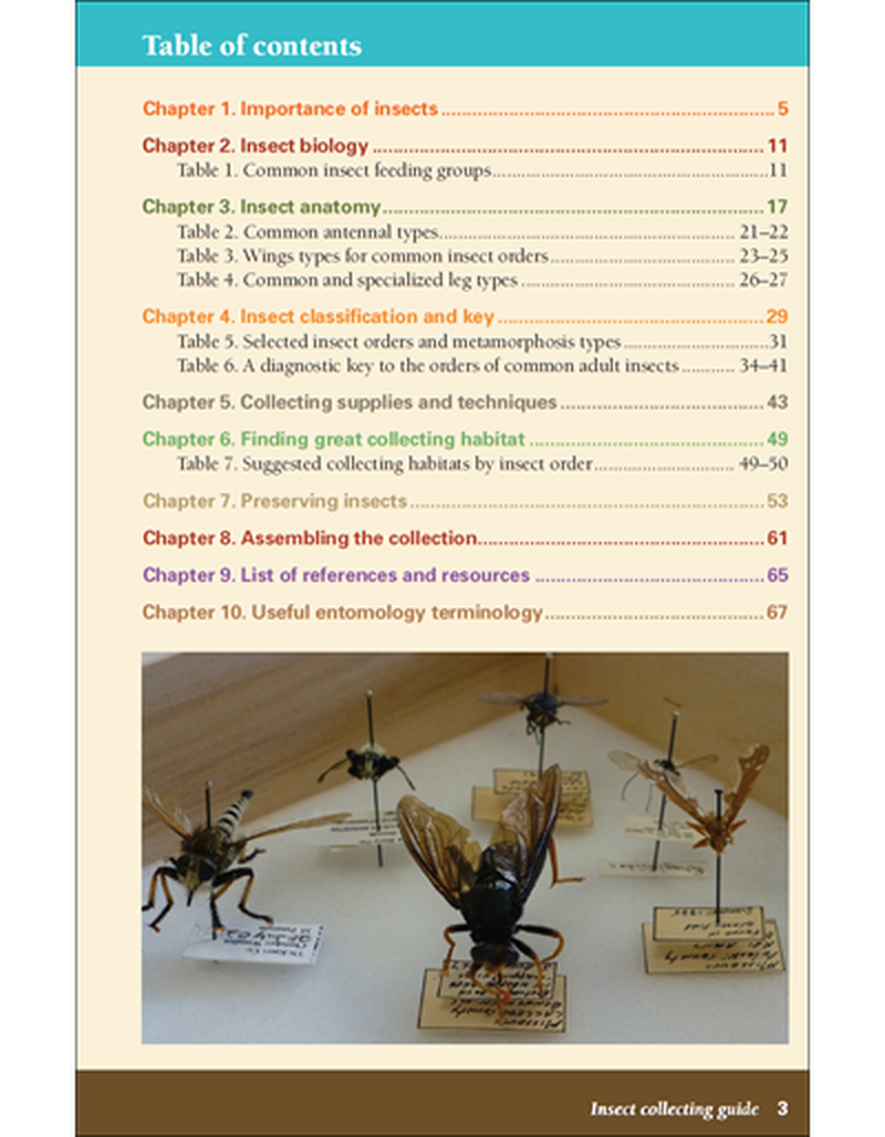 Be a bug catcher: learn to collect, identify, and preserve insects image number 1