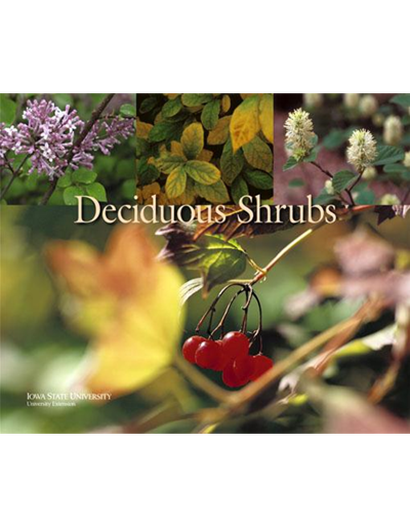 Deciduous Shrubs image number 0