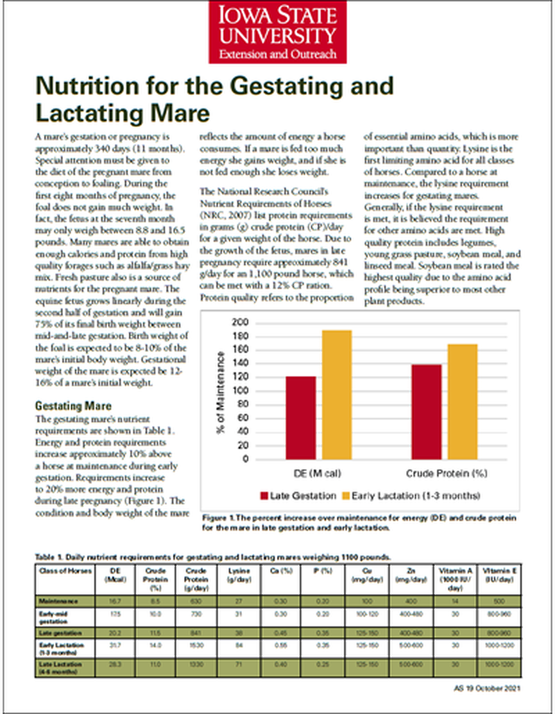 Nutrition for the Gestating and Lactating Mare image number 0